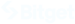 icon (1)